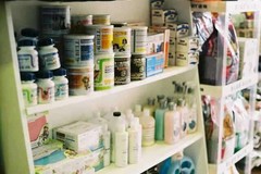 艾特它宠物店4