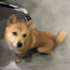 2019年5月17日下午四点半在深圳...