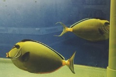宠物世家(联洋店)9