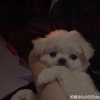 中华小田园在线求家