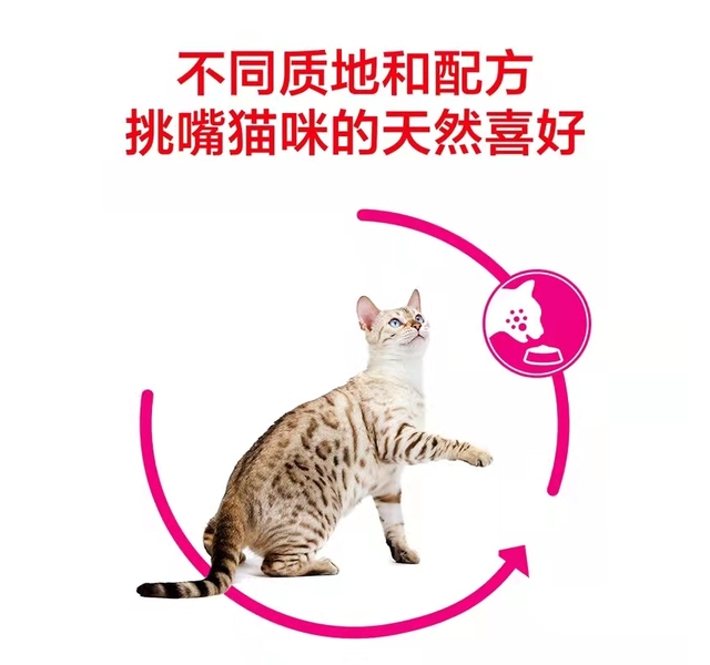 皇家 挑嘴成猫全价粮-口感型