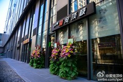 爱宠顶级宠物美容沙龙-SOHO尚都店0