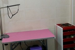 爱宠缘宠物店3