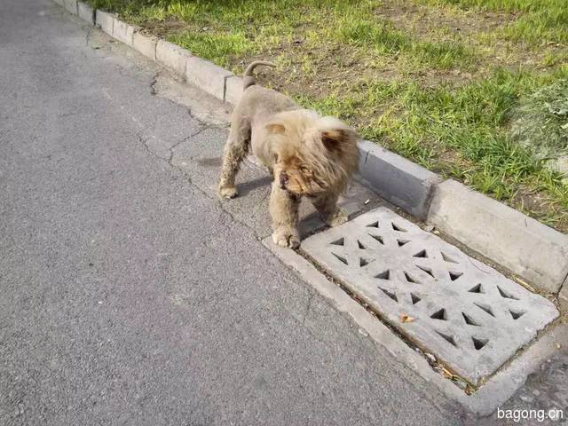 果果妈的宝贝,戳进来点个赞啦~