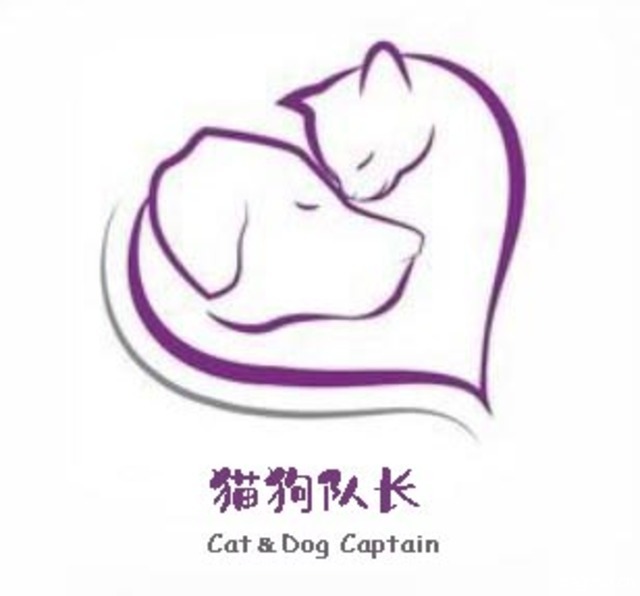 猫狗队长 封面大图