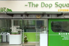 The DOG Square LOUIS4