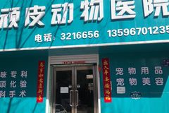 顽皮动物医院环境0