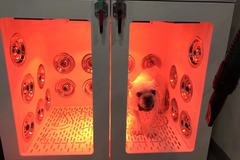 派多格宠物店7