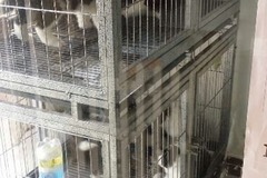 爱宠吧宠物店1