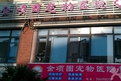 金项圈宠物医院环境2