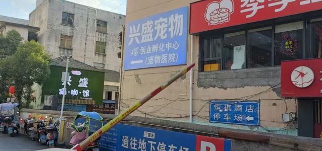 兴盛宠物国光店1