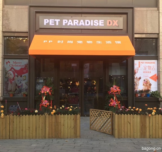 PET PARADISE DX 封面大图
