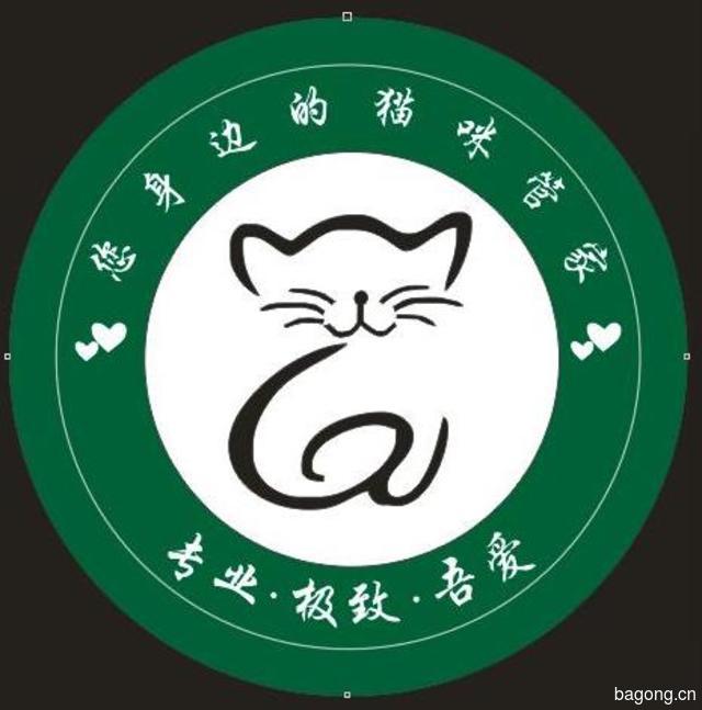 极享猫管家 封面大图