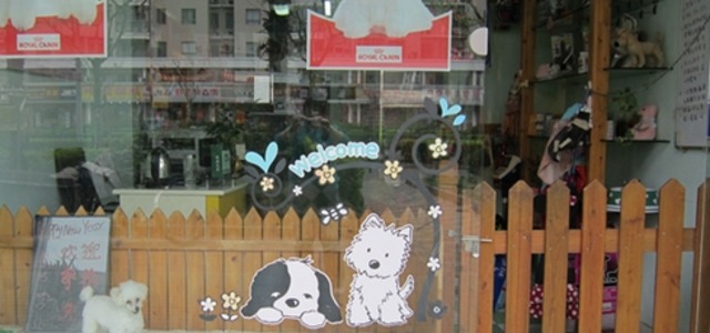 仔仔宠物店0