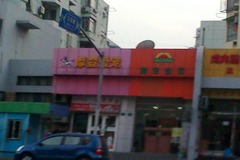 摩登爱宠0