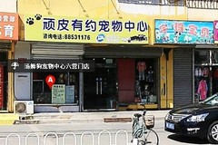 顽皮有约宠物中心(南大红门路店)0