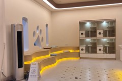 宠妮宠物店3