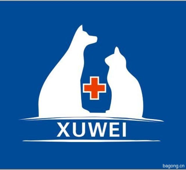 徐伟动物医院 封面大图