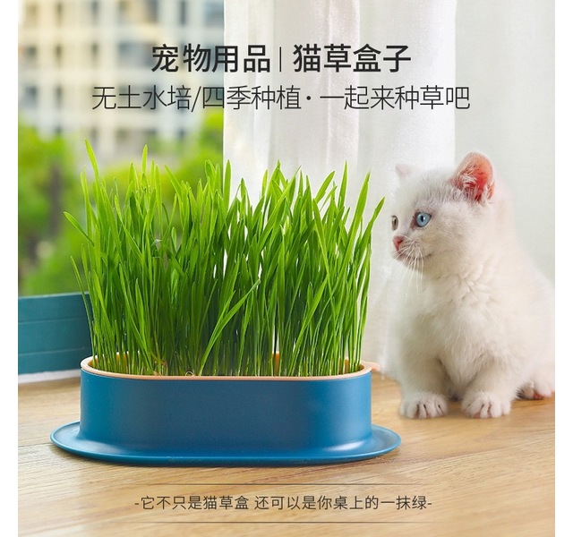 猫草套盒