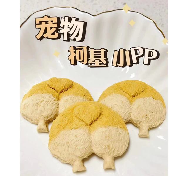 柯基PP饼干