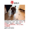 寻宠物犬，家中宠物犬不慎于2019...