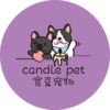 candle pet