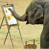 没有买卖就没有伤害！！泰国大象营大象画画的真相