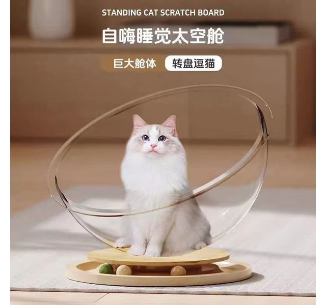 太空舱猫窝四季通用夏季猫窝转盘猫玩具猫床一体半封闭亚克力冰窝