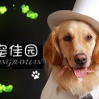 Petz Vet御宠佳园(唐镇店) 封面小图