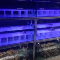 花儿水族之观海小屋 封面小图