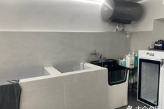麦乐斯宠物8
