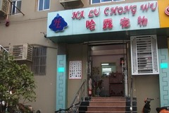 哈露宠物工作室0