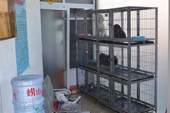 北京宁馨宠物医院3