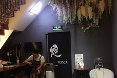 ROSSA宠物花园(外滩店)0