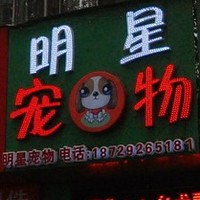 明星宠物 封面小图