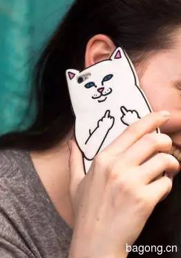 2015可爱猫图集1