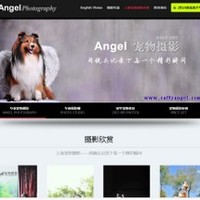 Angel宠物摄影(Angel宠物摄影) 封面小图