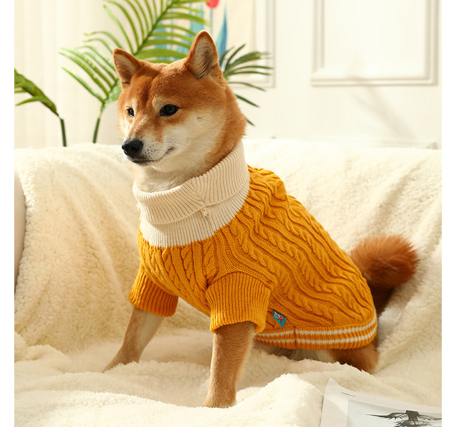 宠物狗狗猫咪衣服秋冬毛衣保暖泰迪比熊小型犬两脚狗衣服宠物服装-黄色 尺码：xs