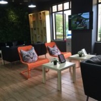 宠宠熊宠物美容(碧云店) 封面小图
