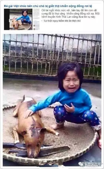 5岁小女孩的狗狗不见了，再次相遇竟然是这样的场景1