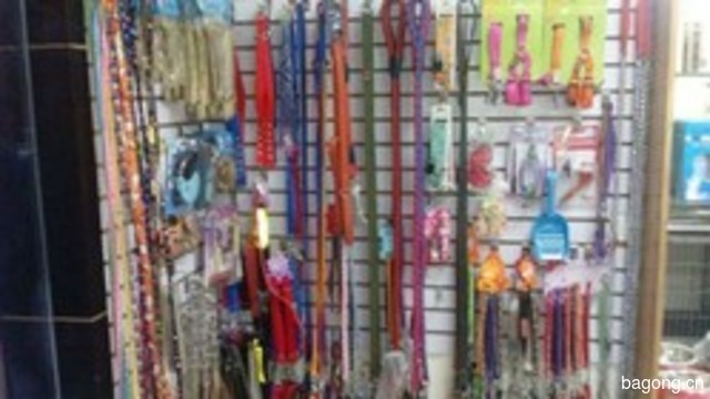 爱宠友家宠物店 封面大图