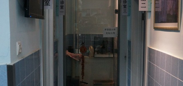 北京宠康动物医院0