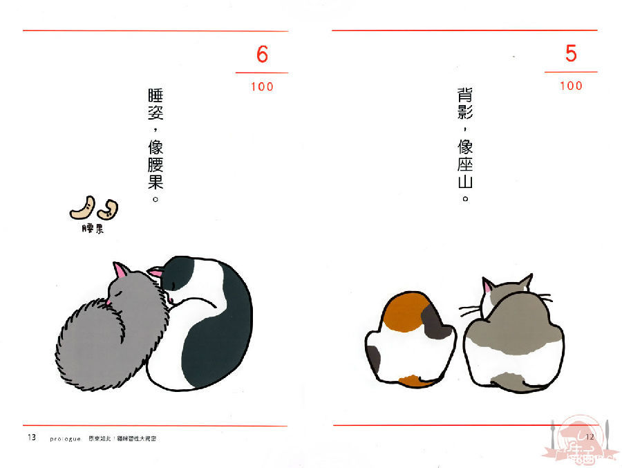 猫奴必懂的100 个喵喵秘密 9