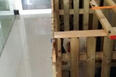 爱宠吧宠物店5