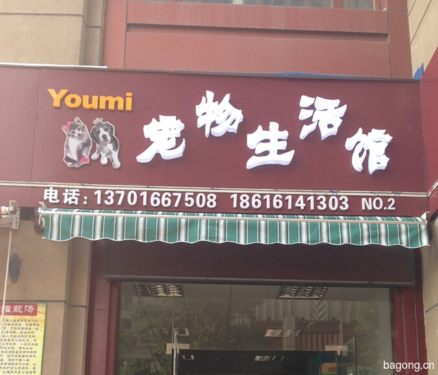 youmi 封面大图