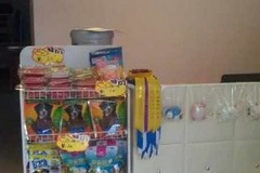 关爱宠物店2