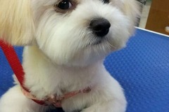 米奇宠物生活馆1