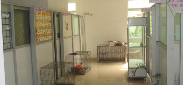 北京康宝动物医院1