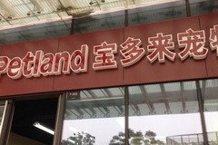 宝多来(正大乐城店)3