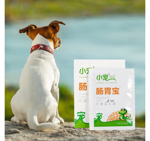 狗狗小宠肠胃宝益生菌粉调理肠胃泰迪金毛用呕吐猫咪宠物营养品 